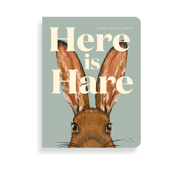 Here Is Hare - Search & Find Book