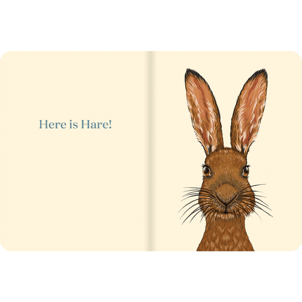 Here Is Hare - Search & Find Book