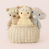 Cuddle + Kind Mini - Baby Honey Bear, Ivory Floral