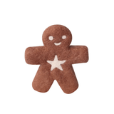 Juni Moon Mr Spicy The Gingerbread Kid