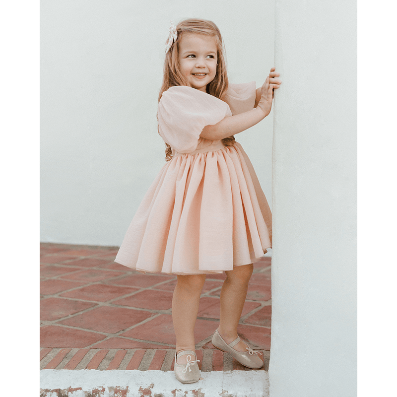 NoraLee Sofia Dress - Blush