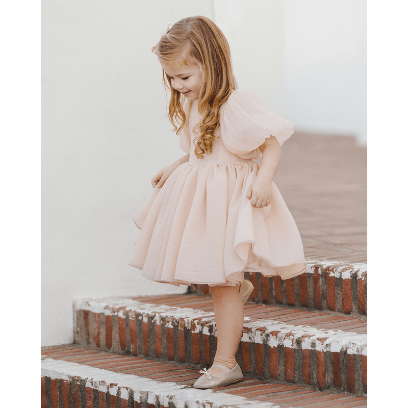 NoraLee Sofia Dress - Blush