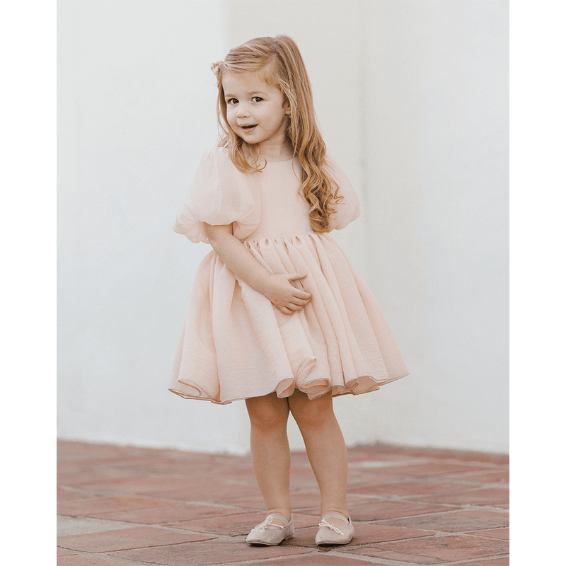 NoraLee Sofia Dress - Blush