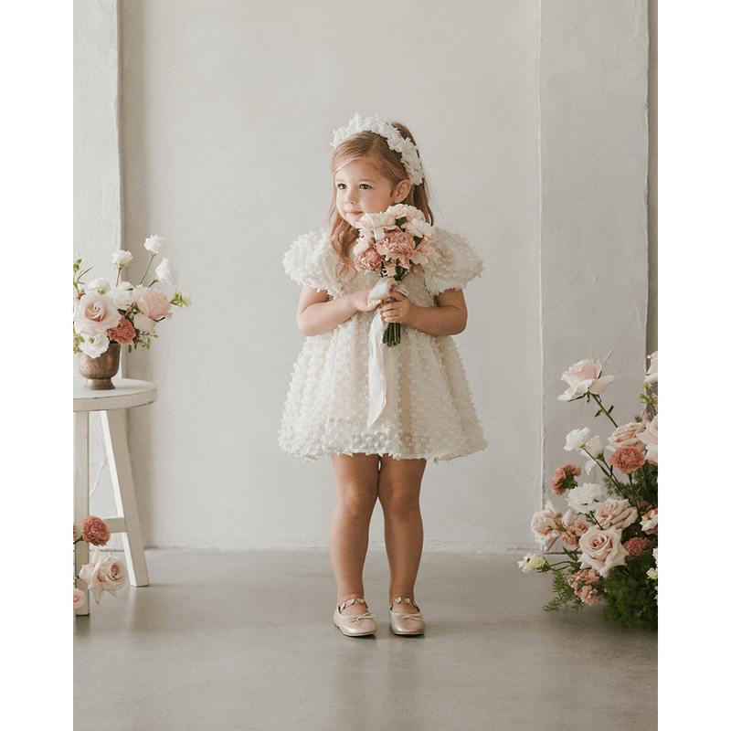 NoraLee Luna Dress - Ivory