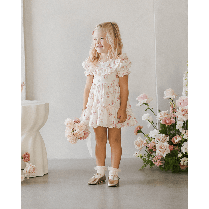 NoraLee Eva Dress - Bow Ditsy