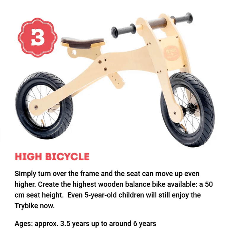 TryBike - 4 in 1 Wooden Bike