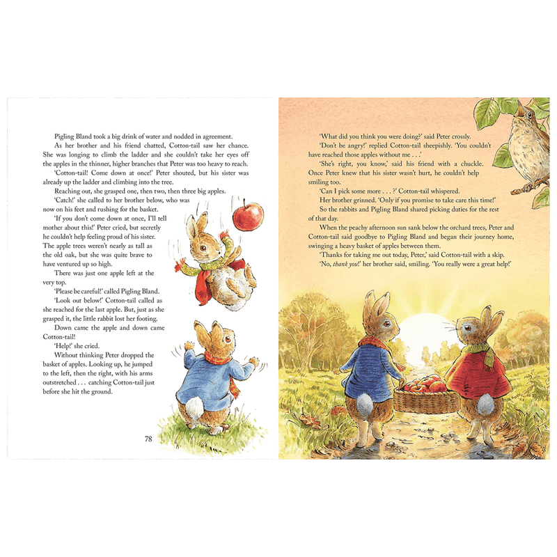 Peter Rabbit - Tales From The Countryside